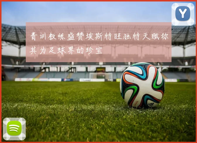 青训教练盛赞埃斯特旺独特天赋称其为足球界的珍宝