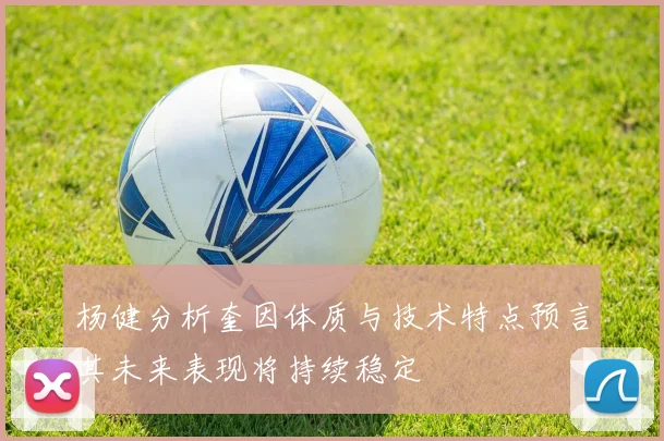 杨健分析奎因体质与技术特点预言其未来表现将持续稳定